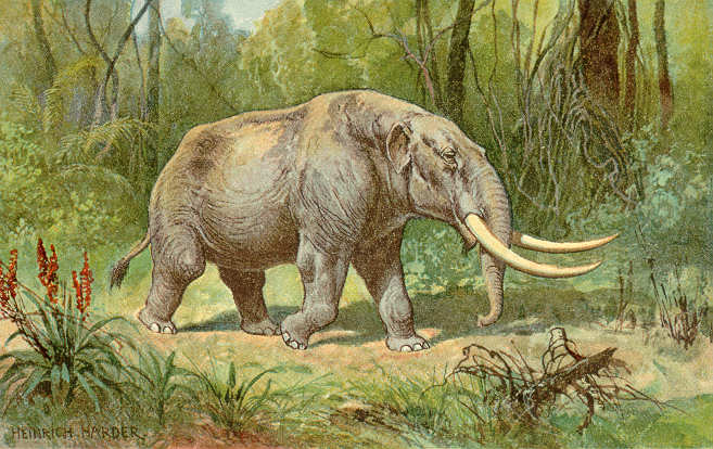 Illustration of a mastodon